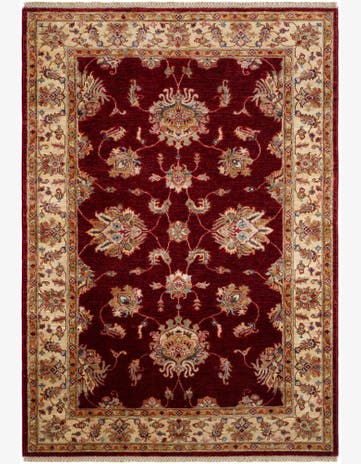 4' 3 x 6' Hand Knotted Ariana Ziegler Rug