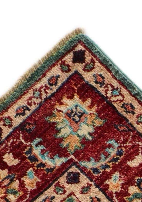 2' 9 x 9' 10 Hand Knotted Ariana Ziegler Runner Rug