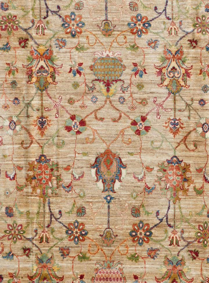 8' 2 x 10' 4 Hand Knotted Ariana Rug