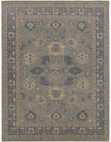 9' 3 x 11' 11 Hand Knotted Ariana Rug