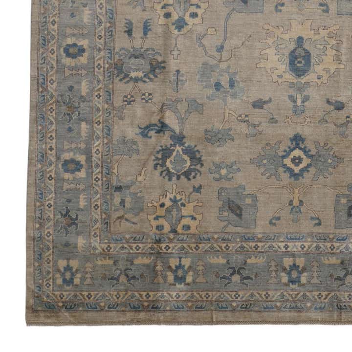10' x 13' 11 Hand Knotted Ariana Rug