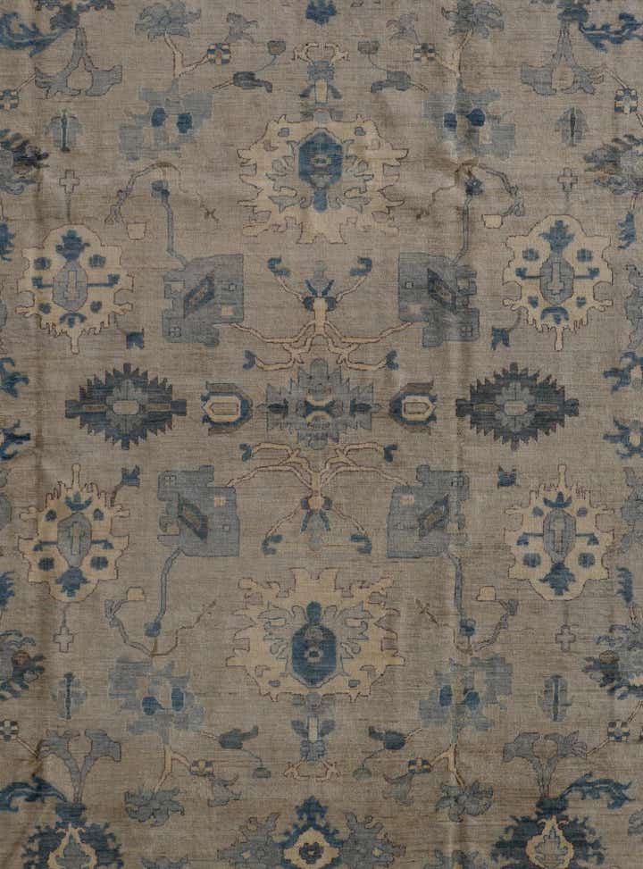 10' x 13' 11 Hand Knotted Ariana Rug