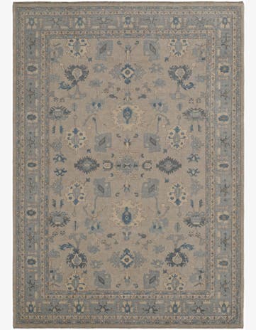 10' x 13' 11 Hand Knotted Ariana Rug
