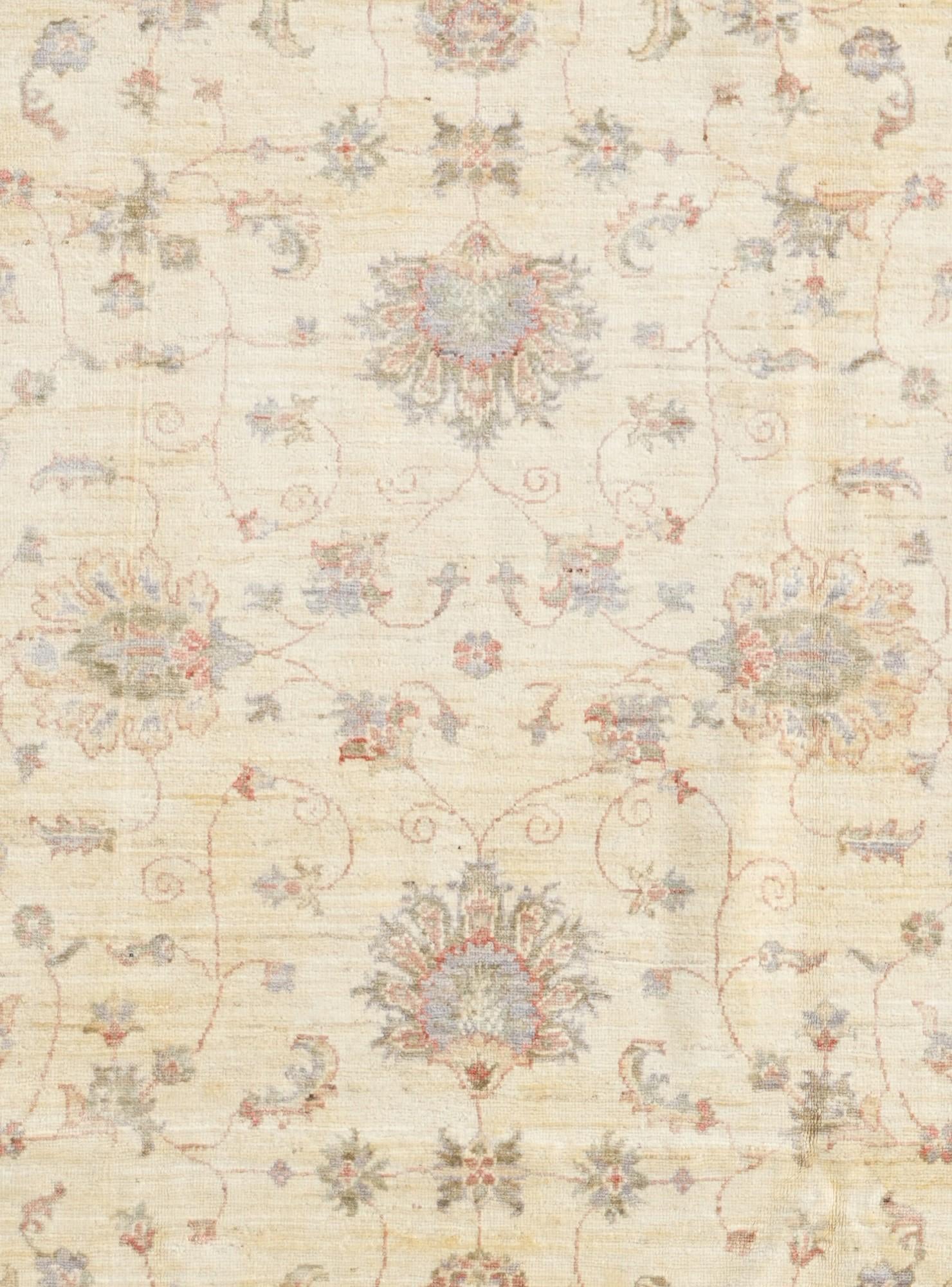 6' x 9' 7 Hand Knotted Ariana Ziegler Rug