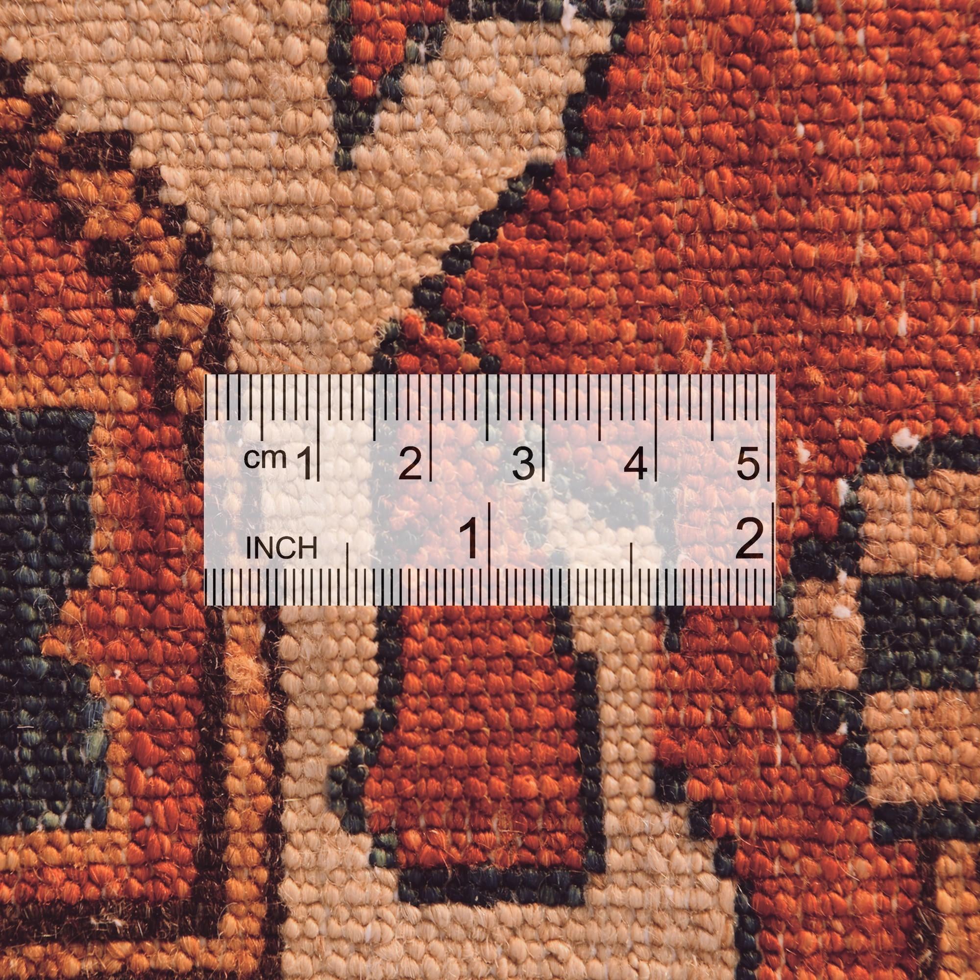 10' x 13' 9 Hand Knotted Ariana Ziegler Rug