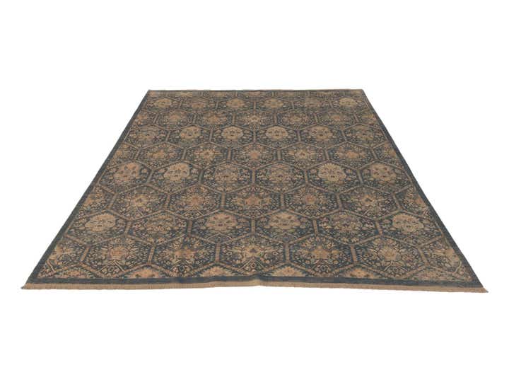 8' 2 x 10' 9 Hand Knotted Ariana Ziegler Rug