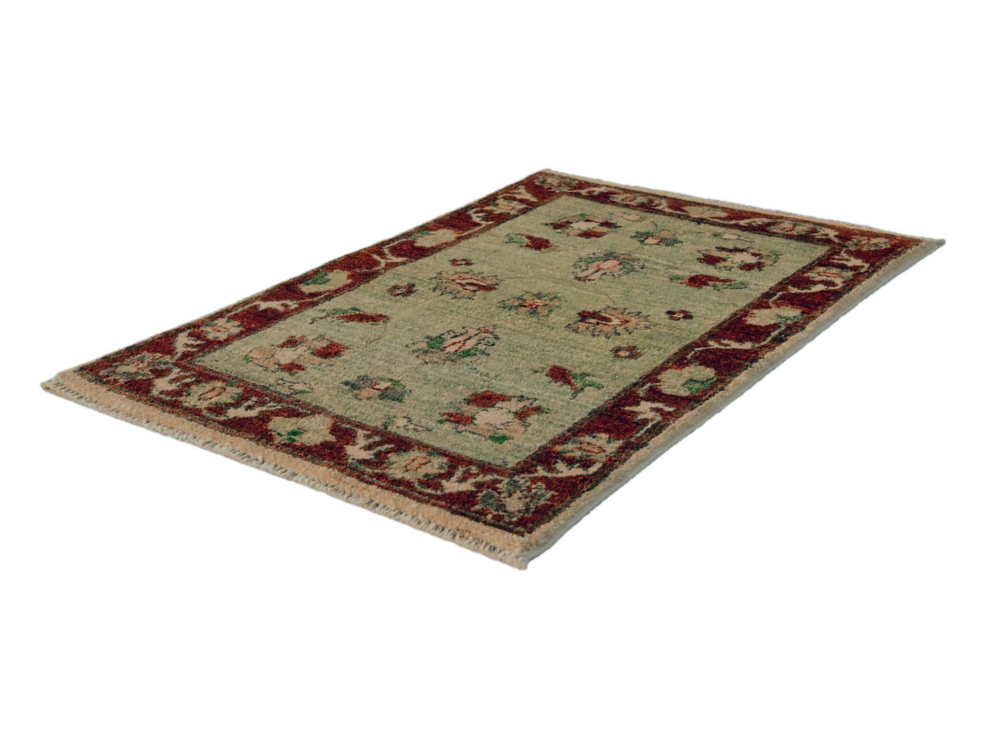 1' 10 x 2' 11 Hand Knotted Ariana Ziegler Rug