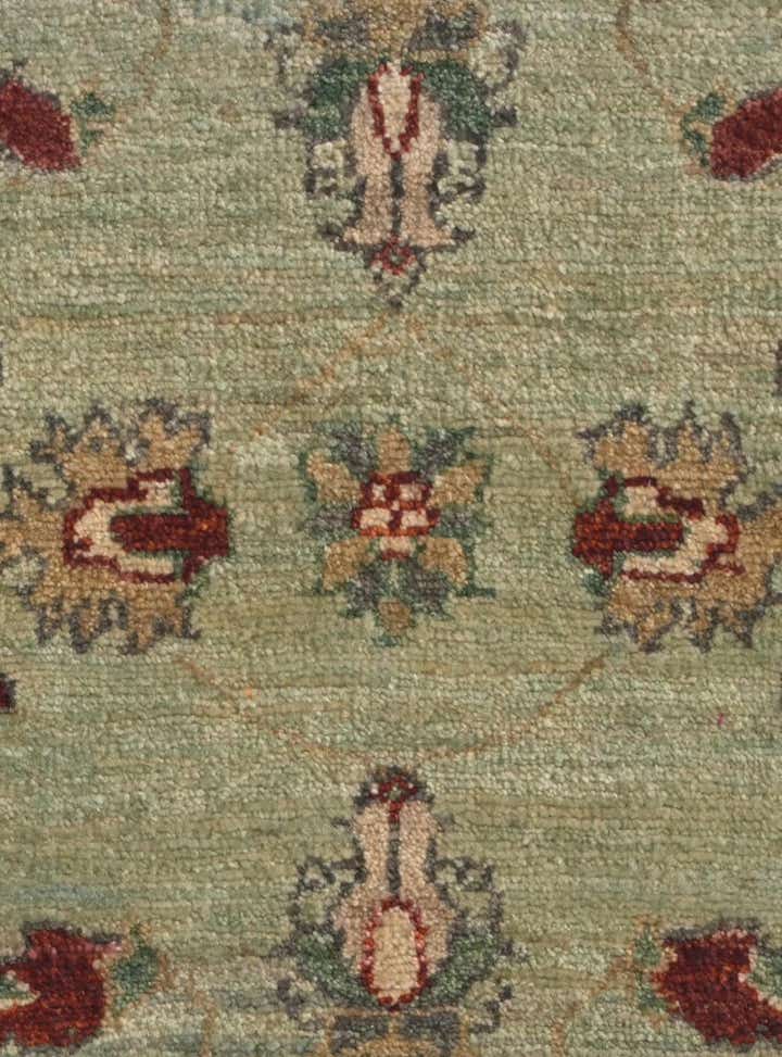 1' 10 x 2' 11 Hand Knotted Ariana Ziegler Rug