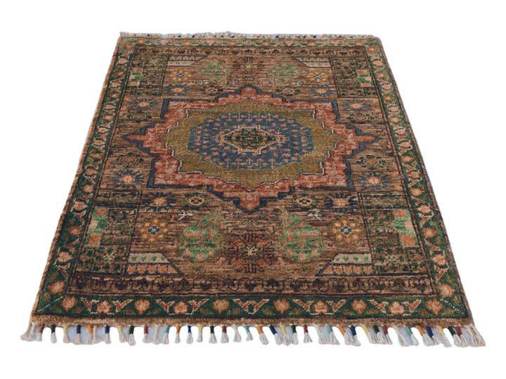 2' 2 x 3' 2 Hand Knotted Ariana Ziegler Rug