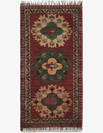 1' 8 x 3' 4 Hand Knotted Ariana Ziegler Rug