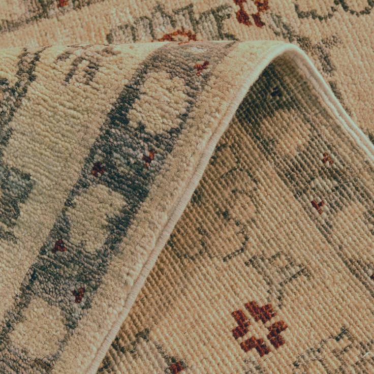 Detail image of 2' x 3' Hand Knotted Ariana Ziegler Rug