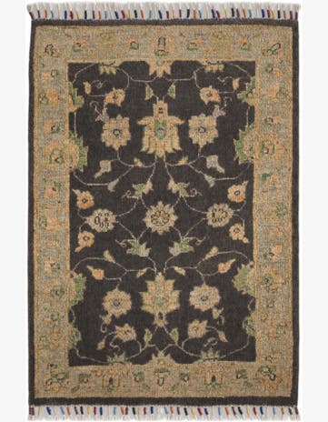 2' x 3' Hand Knotted Ariana Ziegler Rug
