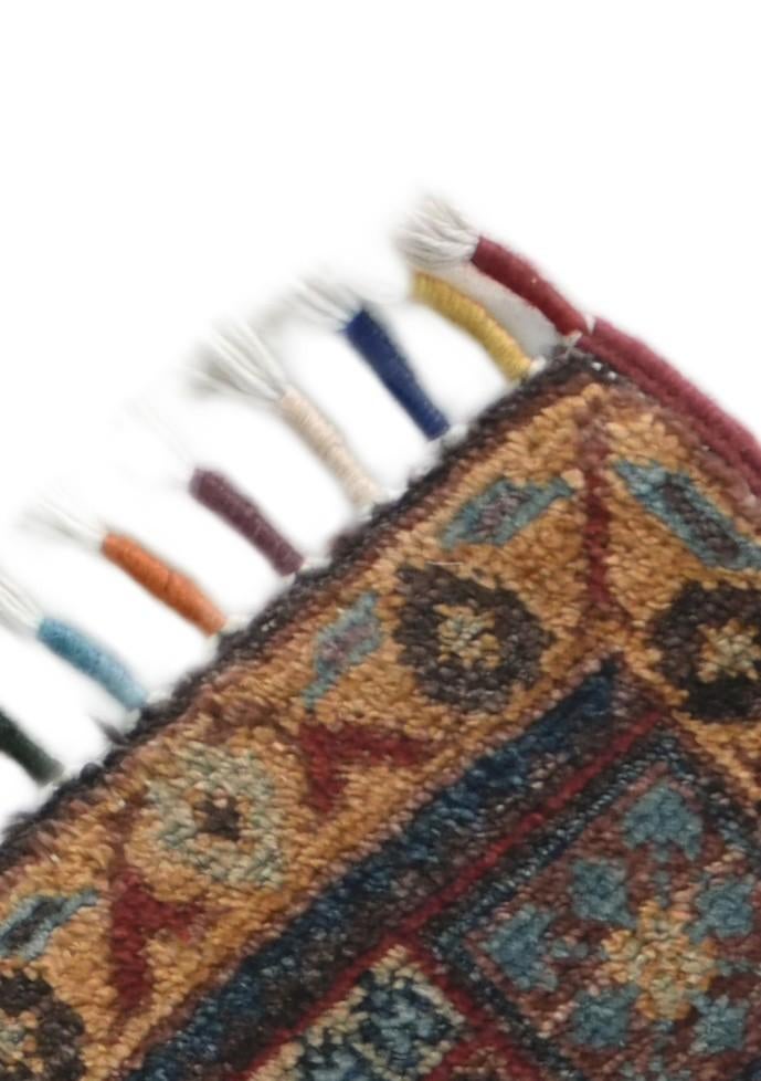 1' 8 x 2' 10 Hand Knotted Ariana Ziegler Rug