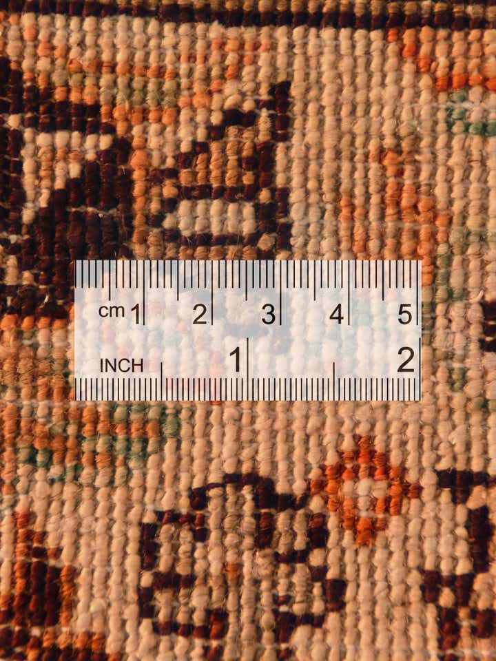 2' x 3' 5 Hand Knotted Ariana Ziegler Rug