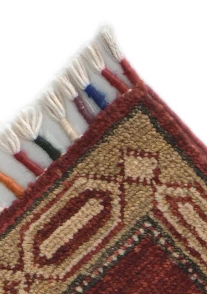 Detail image of 1' 8 x 3' 5 Hand Knotted Ariana Ziegler Rug