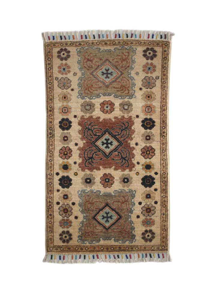1' 10 x 3' 2 Hand Knotted Ariana Ziegler Rug