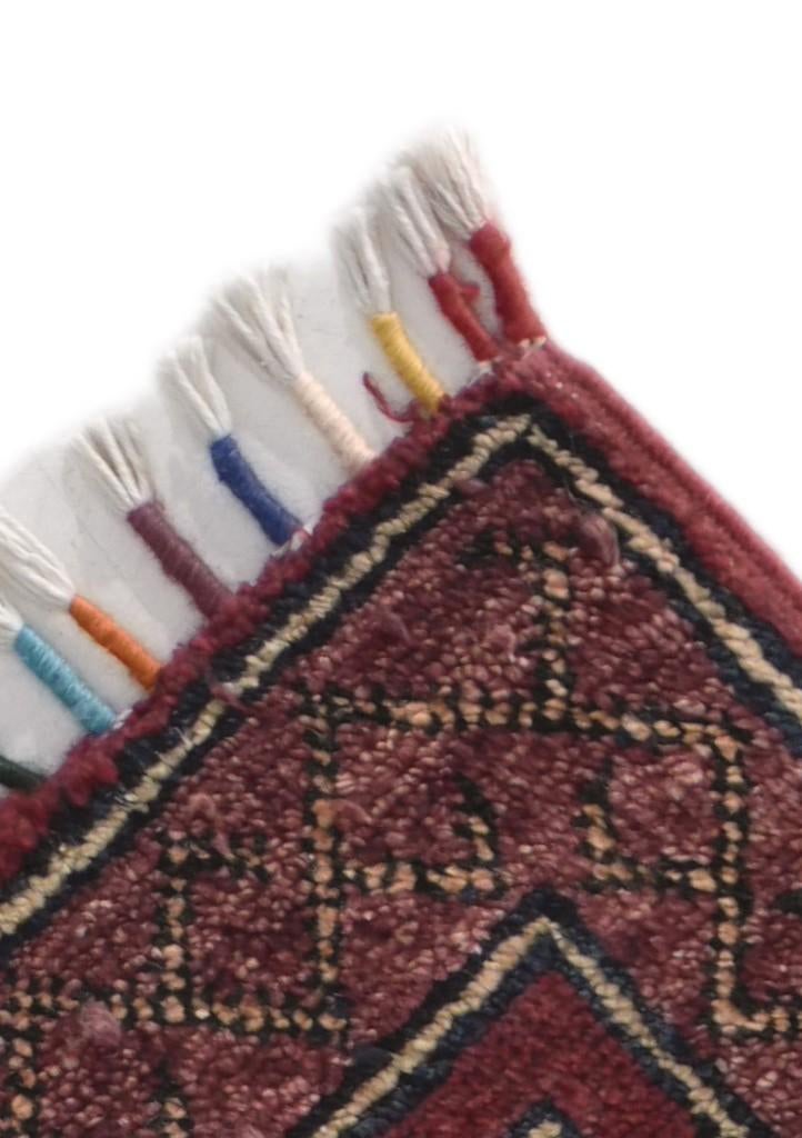 1' 9 x 3' 4 Hand Knotted Ariana Ziegler Rug