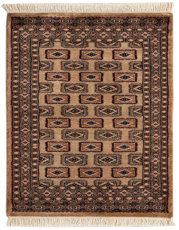 Detail image of 2' 7 x 4' 4 Hand Knotted Bokhara Rug