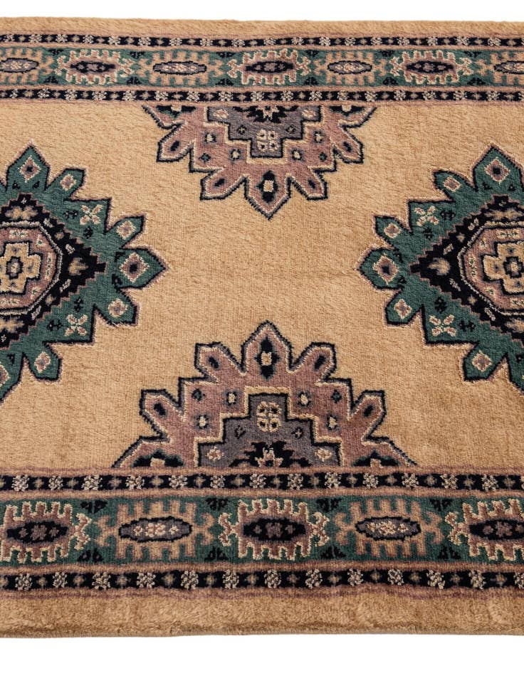 Detail image of 2' 7 x 4' 4 Hand Knotted Bokhara Rug