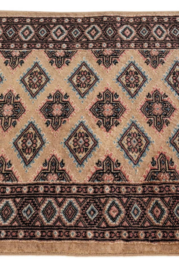Detail image of 2' 6 x 4' 3 Hand Knotted Bokhara Rug