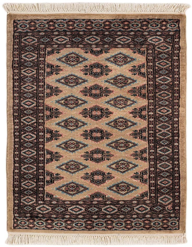 Detail image of 2' 6 x 4' 3 Hand Knotted Bokhara Rug