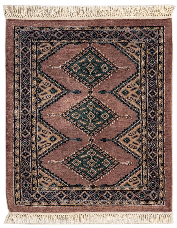 Detail image of 2' 7 x 3' 8 Hand Knotted Bokhara Rug
