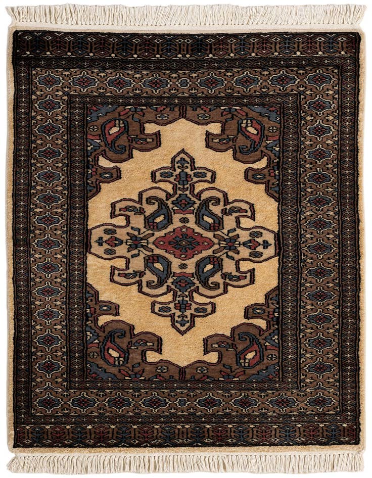 Detail image of 2' 6 x 4' 3 Hand Knotted Bokhara Rug