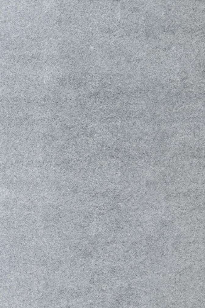 3' 6 x 6' 9 Everyday Performance Pad Rug