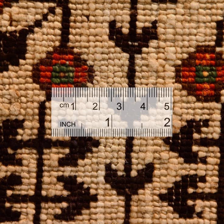 Detail image of 3' 6 x 5' 1 Hand Knotted Mamluk Ziegler Rug