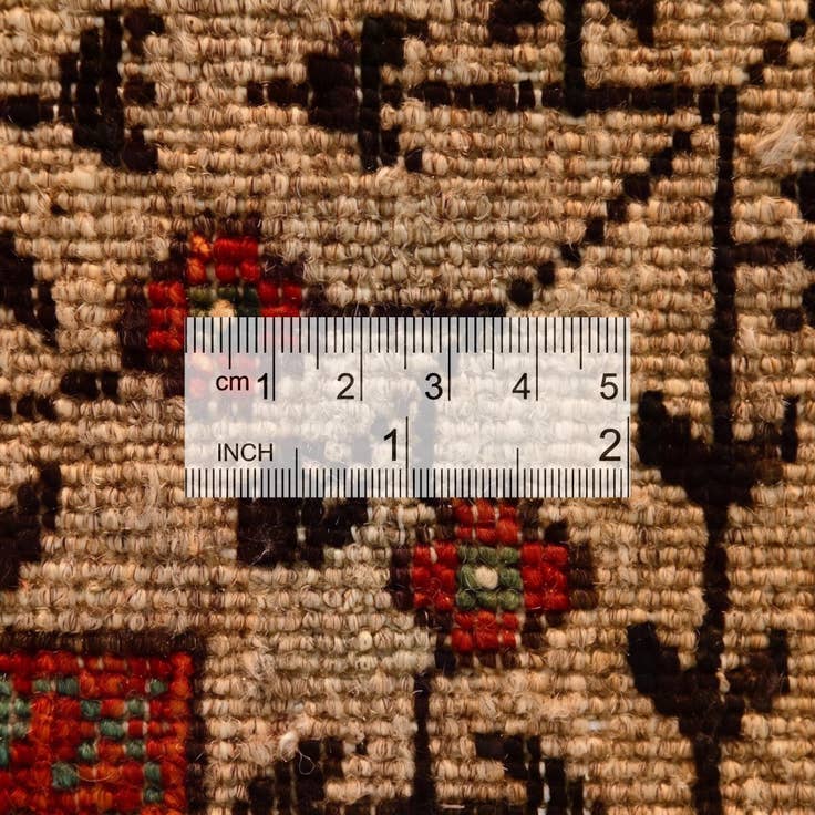 Detail image of 3' 4 x 4' 11 Hand Knotted Mamluk Ziegler Rug