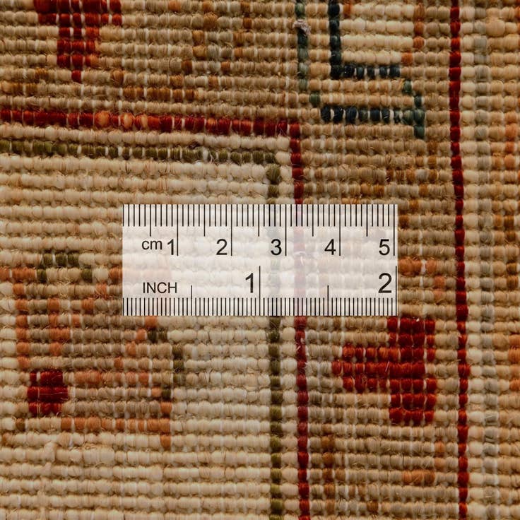 Detail image of 8' 10 x 12' 5 Hand Knotted Pershawar Ziegler Rug
