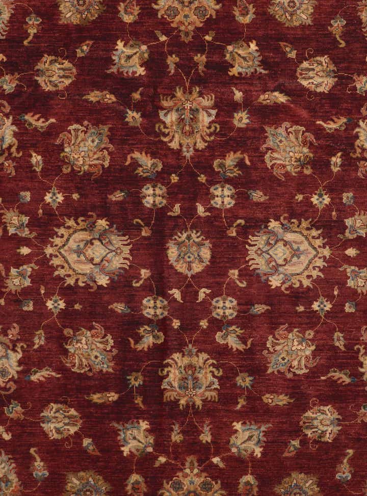 8' 10 x 12' 5 Hand Knotted Pershawar Ziegler Rug