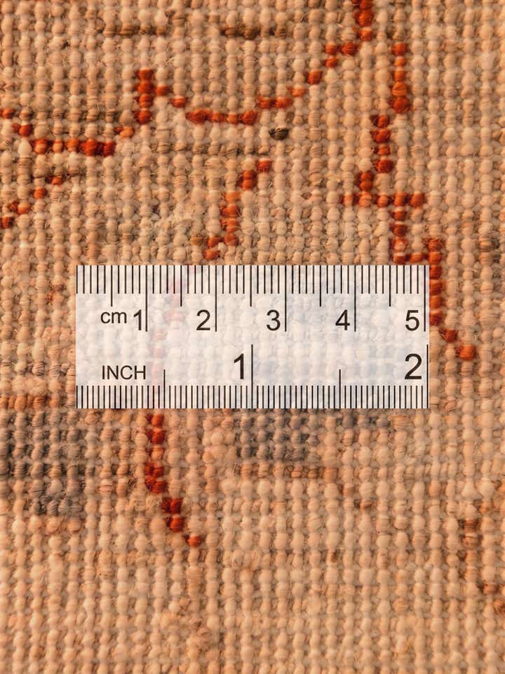 8' 4 x 11' 3 Hand Knotted Peshawar Ziegler Rug