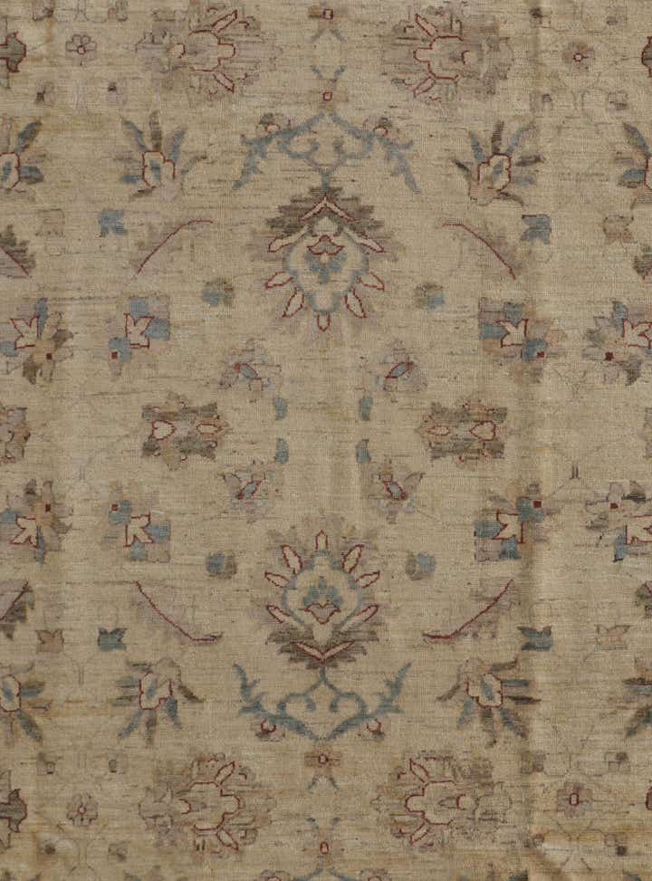 8' 4 x 11' 3 Hand Knotted Peshawar Ziegler Rug