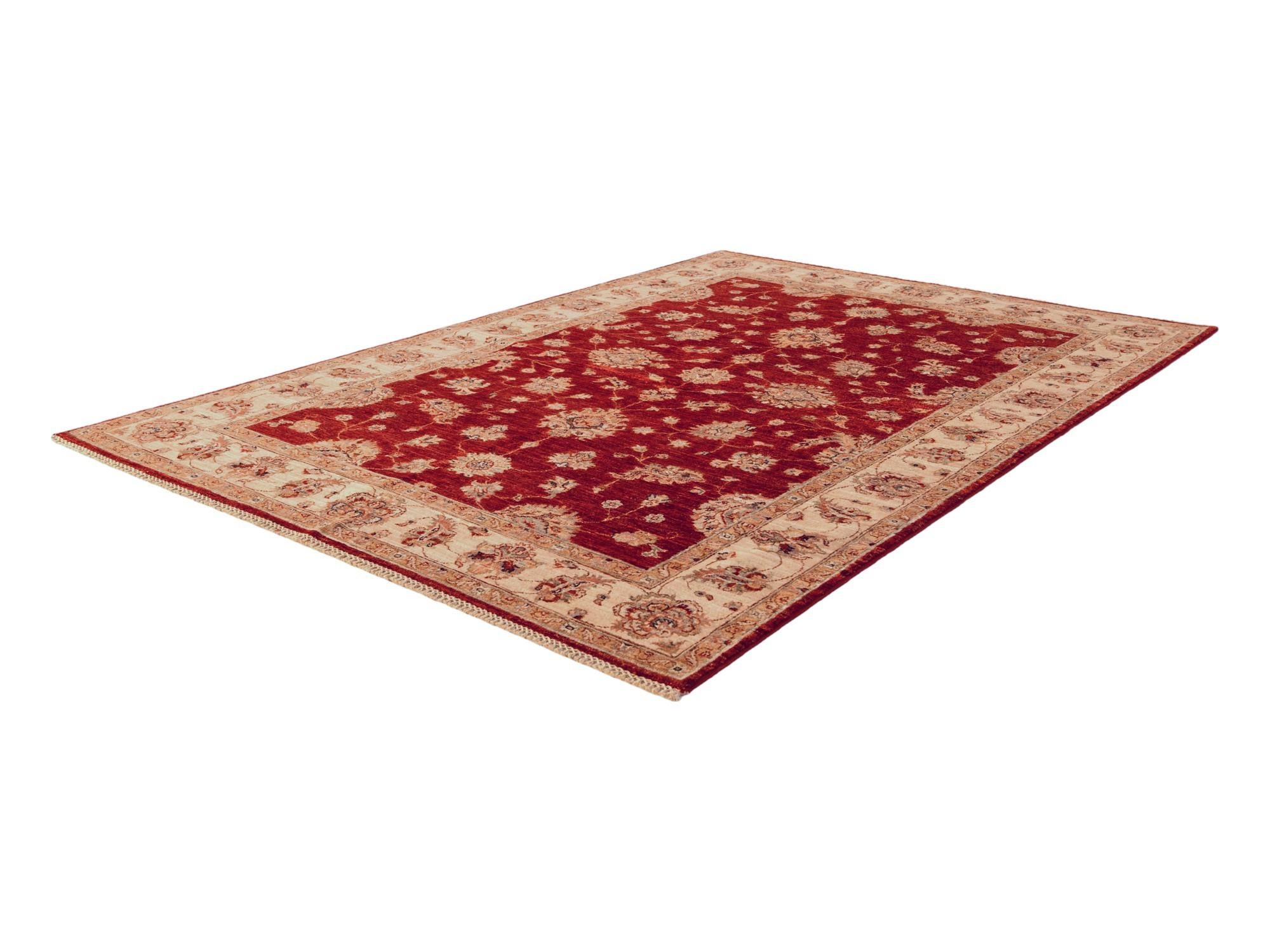 5' 9 x 8' 3 Hand Knotted Ziegler Rug