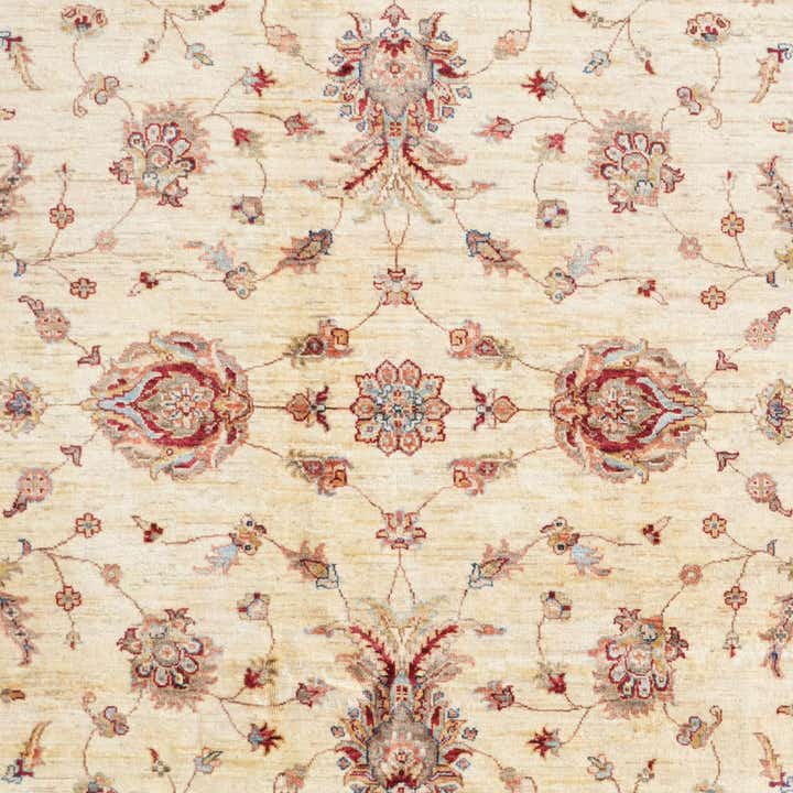 205cm x 300cm Hand Knotted Ziegler Rug