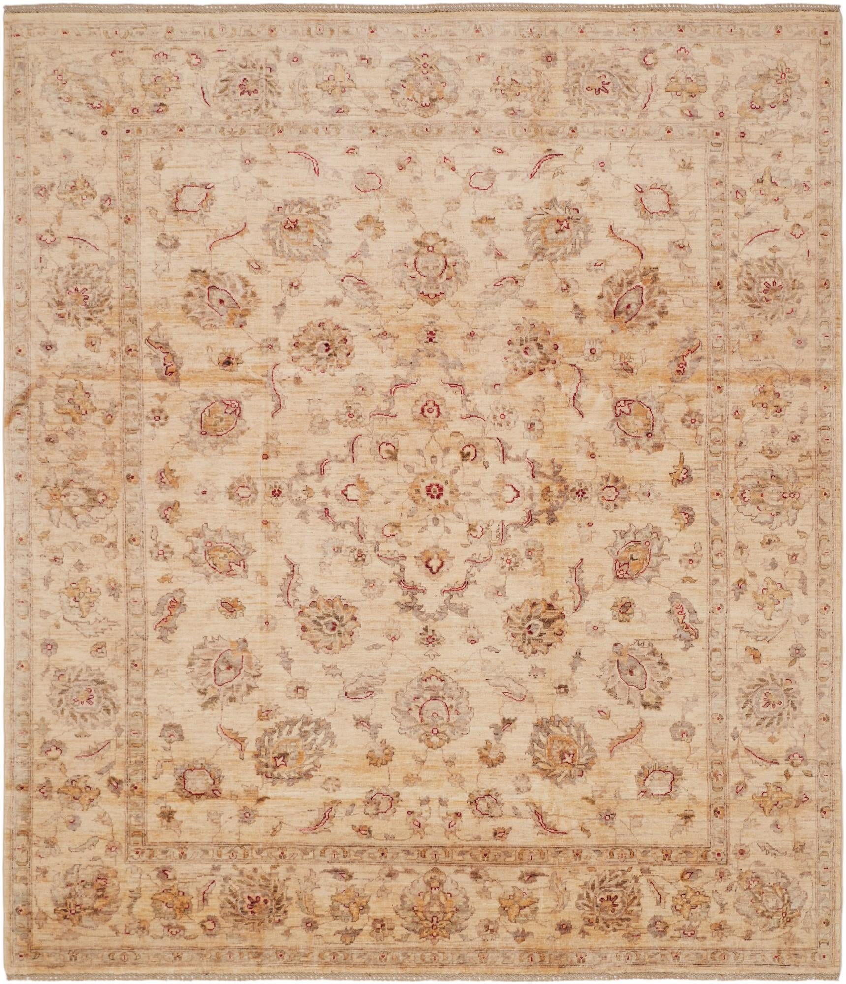 8' 2 x 9' 7 Hand Knotted Ziegler Rug