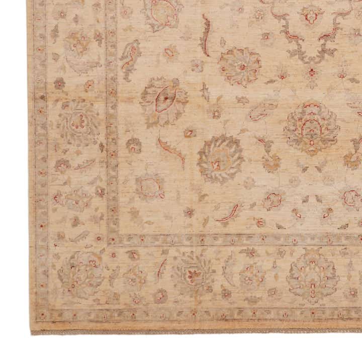 245cm x 305cm Noué main Ziegler Tapis