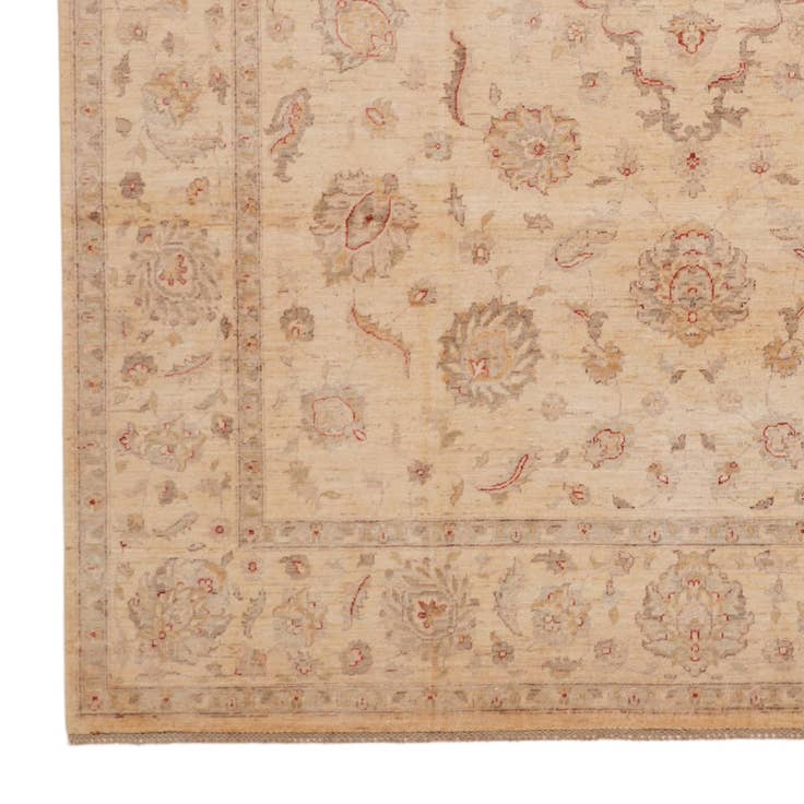 Vue détaillée : 245cm x 305cm Noué main Ziegler Tapis