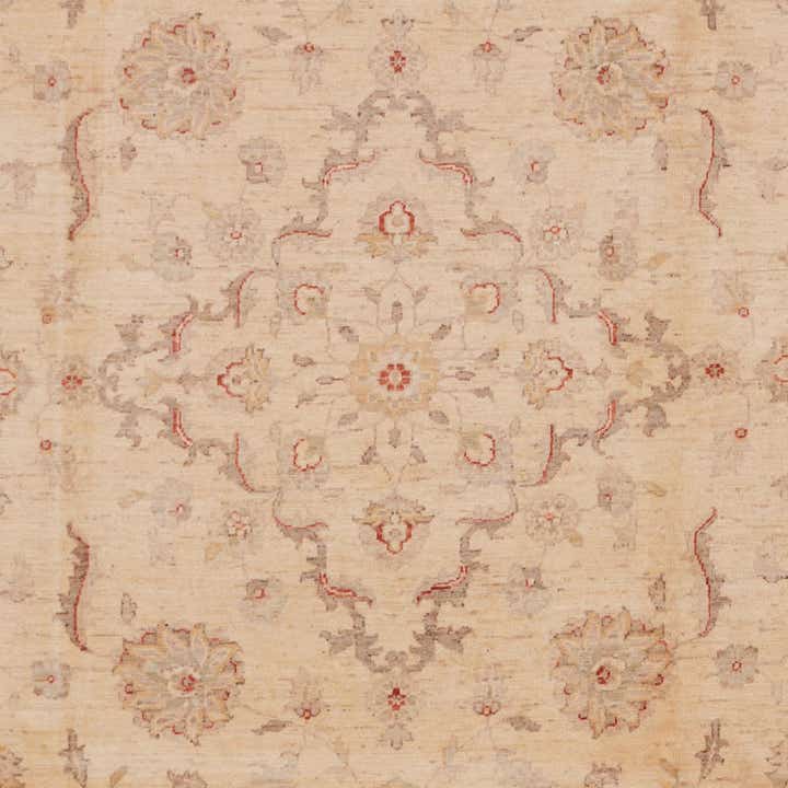 245cm x 305cm Noué main Ziegler Tapis