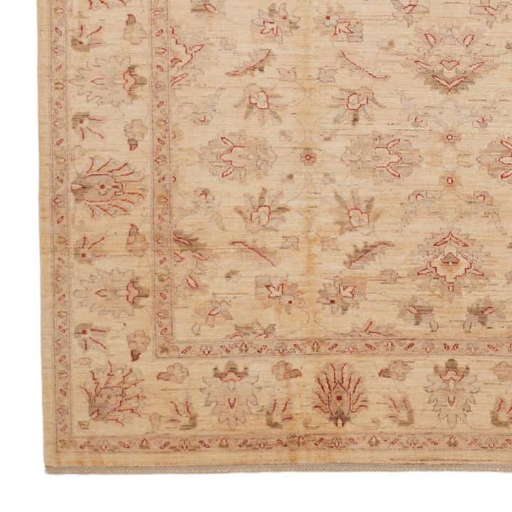 250cm x 295cm Hand Knotted Ziegler Rug