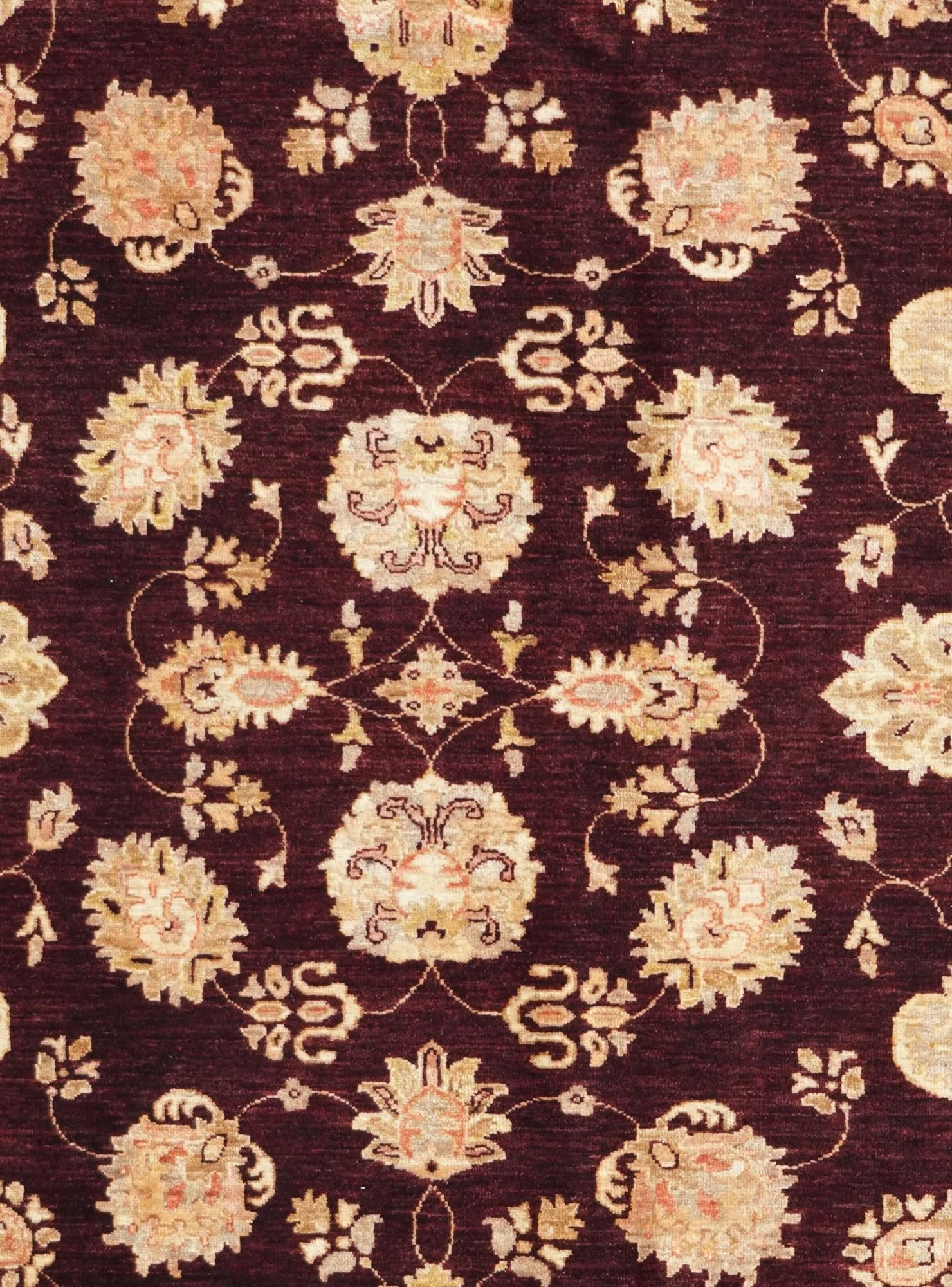 6' 9 x 9' 10 Hand Knotted Ziegler Rug
