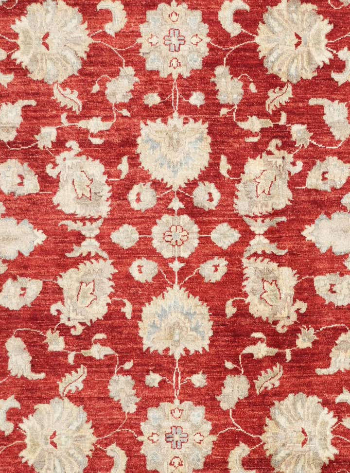 6' 7 x 9' 5 Hand Knotted Ziegler Rug