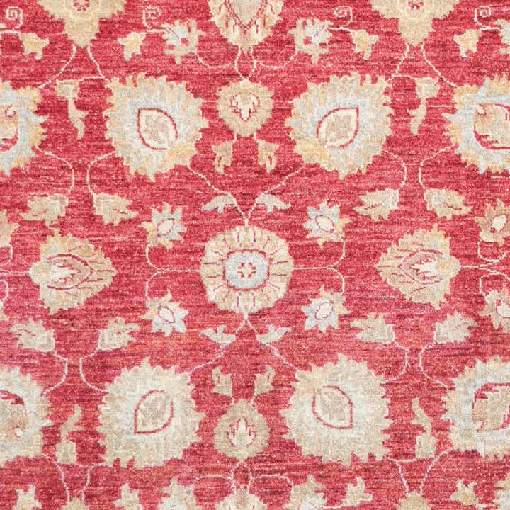 205cm x 280cm Hand Knotted Ziegler Rug