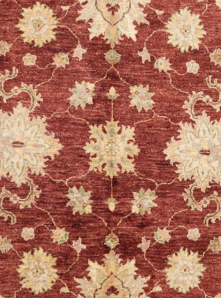 4' 11 x 7' 3 Hand Knotted Ziegler Rug