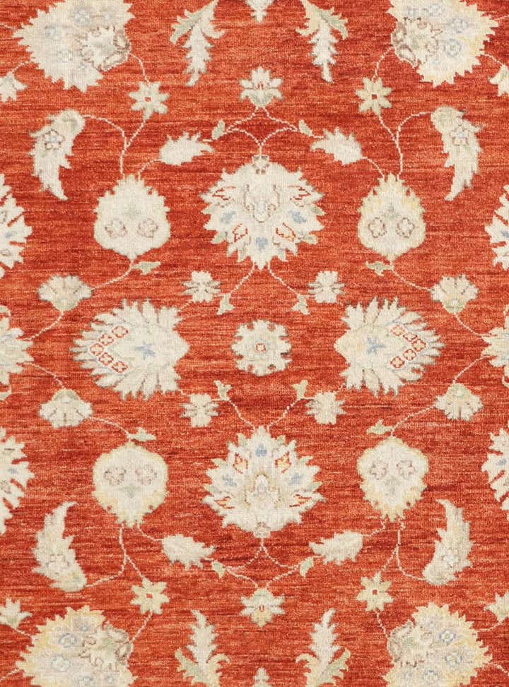 6' 8 x 9' 10 Hand Knotted Ziegler Rug