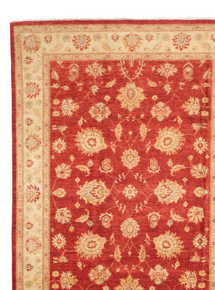 6' 6 x 9' 7 Hand Knotted Ziegler Rug