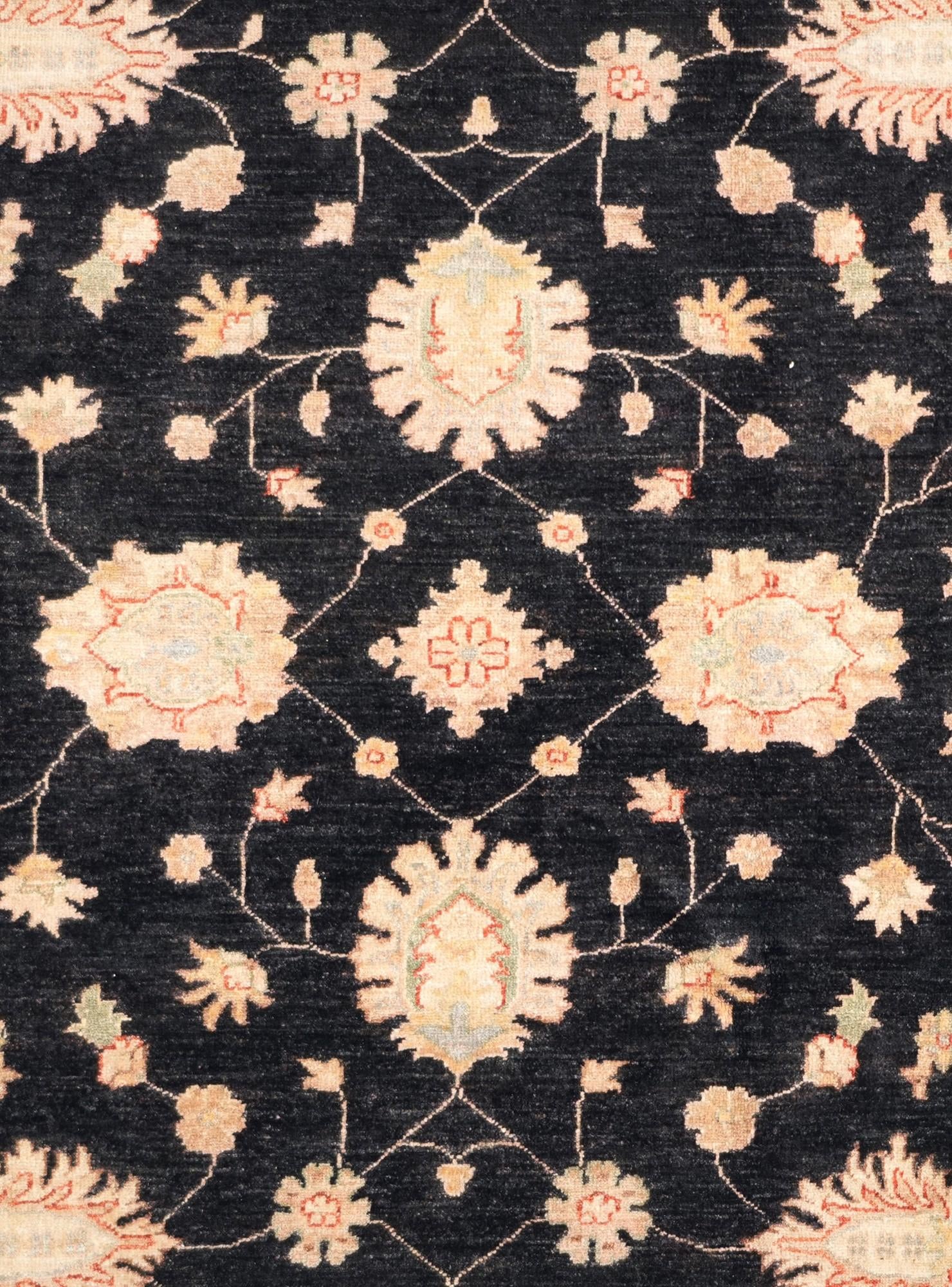 6' 3 x 9' 8 Hand Knotted Ziegler Rug