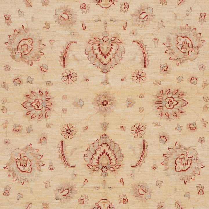 170cm x 240cm Hand Knotted Ziegler Rug