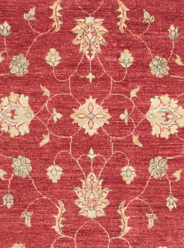 4' 11 x 6' 6 Hand Knotted Ziegler Rug